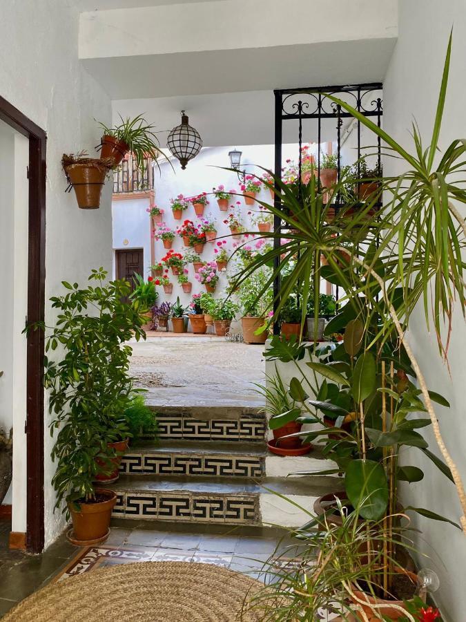 科爾多瓦Amal Casa De Huespedes公寓 外观 照片
