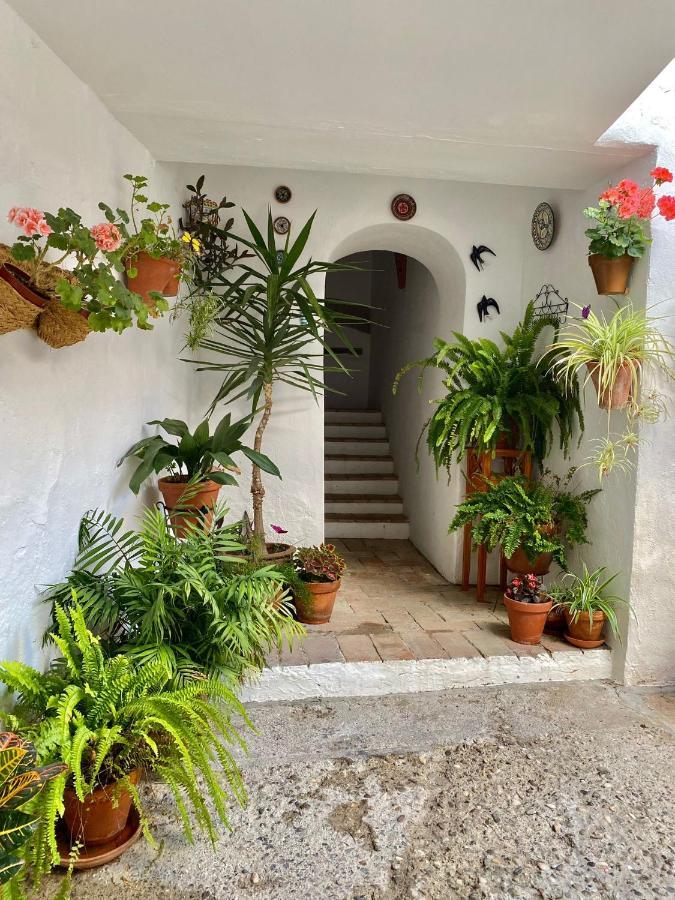 科爾多瓦Amal Casa De Huespedes公寓 外观 照片